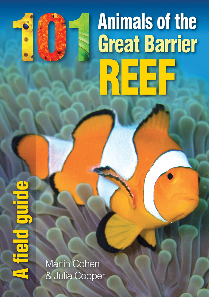 101 Animals of the Great Barrier Reef book cover